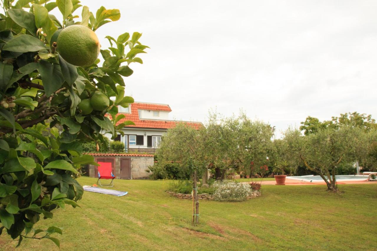 La Casa Di Iole Apartman Cogna Kültér fotó